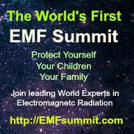 EMF Summit 2014