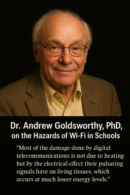 Dr. Andrew Goldsworthy, PhD