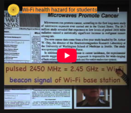 Wi-Fi health hazard for students