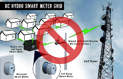 Re: Immediate Suspension of B.C. Smart Meter Programs, Damage is Measurable By the Second