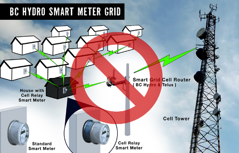 Re: Immediate Suspension of B.C. Smart Meter Programs, Damage is Measurable By the Second 