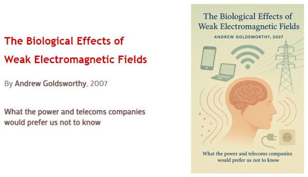 The Biological Effects of Weak Electromagnetic Fields