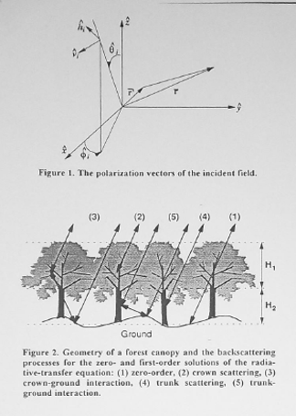 scattering model for forest or vegetation, based on the theory of electromagnetic wave scattering in random media