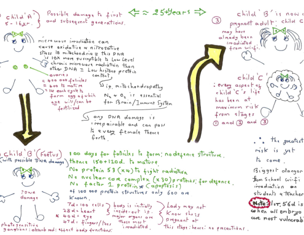 Barrie Trower Addendum A