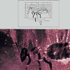 A bee in an electrical field; top: a construction, bottom: an experiment. It is shown how the field strength increases around certain surface structures.