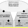 Substances with an excess of electrons are indispensible for metabolism if humans and many animals want to remain healthy. Electromagnetic oscillations destroy this electron excess and form nitrosative-oxidative species (RNS/ROS). The situation is fatal to a person if anti-oxidants are also absent in the diet.
