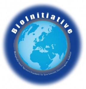 The BioInitiative Report