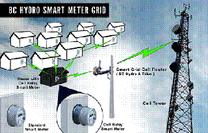 Re: Immediate Suspension of B.C. Smart Meter Programs, Damage is Measurable By the Second