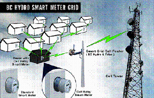 B.C. Hydro Smart Meter Grid