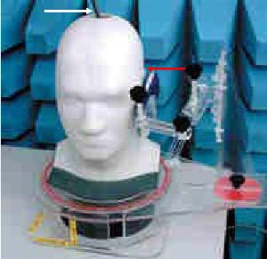 Sam Phantom Model Specific Absorption Rate Test 