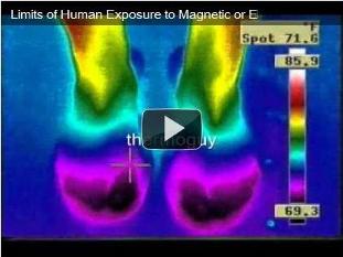 Radio Frequency Exposure: Specific Absorption Rate Testing Method