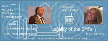 'Legality of the EMFs'