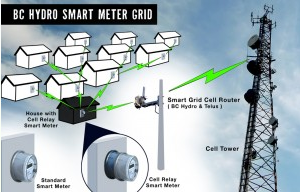 BC Hydro Smart Meter Grid