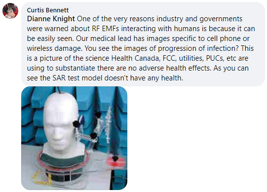 One of the very reasons industry and governments were warned about RF EMFs interacting with humans is because it can be easily seen.