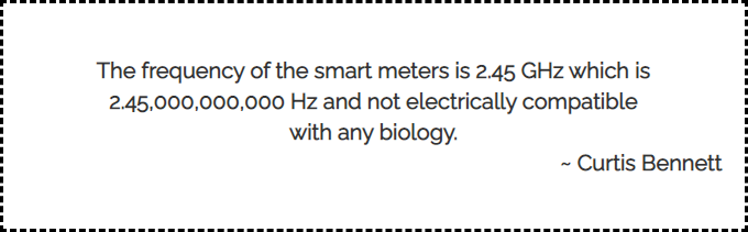Re: Complaint to Ombudsperson on FortisBC Wireless Smart Meters & Grid