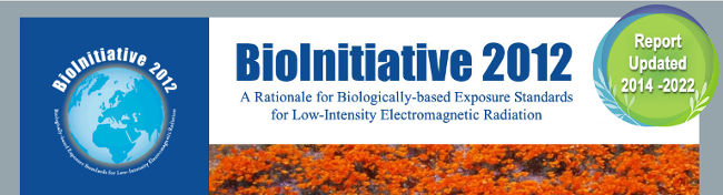 BioInitiative Report 2012
