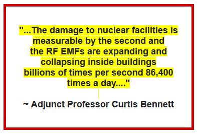 Submission For Canadian Nuclear Safety Commission on RF EMFs Causing Accelerated Corrosion Making the Power Plants Non Compliant With Building Codes