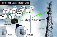 Re: Immediate Suspension of B.C. Smart Meter Programs, Damage is Measurable By the Second