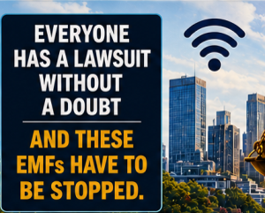 Everyone Has A Lawsuit Without A Doubt
